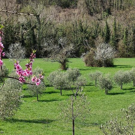 Lissahouse Agriturismo San Pietro Vara 外观 照片