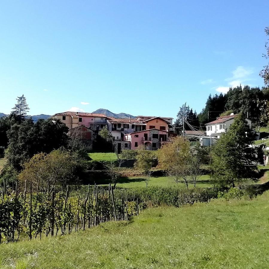 Lissahouse Agriturismo San Pietro Vara 外观 照片